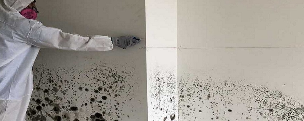 Nre Mold Hp