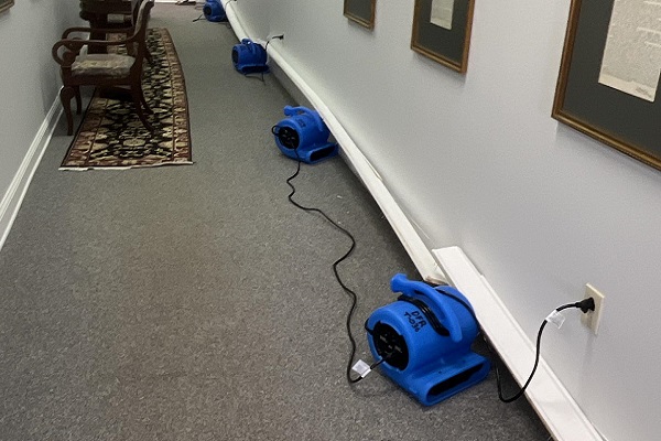 Water Damage Ql
